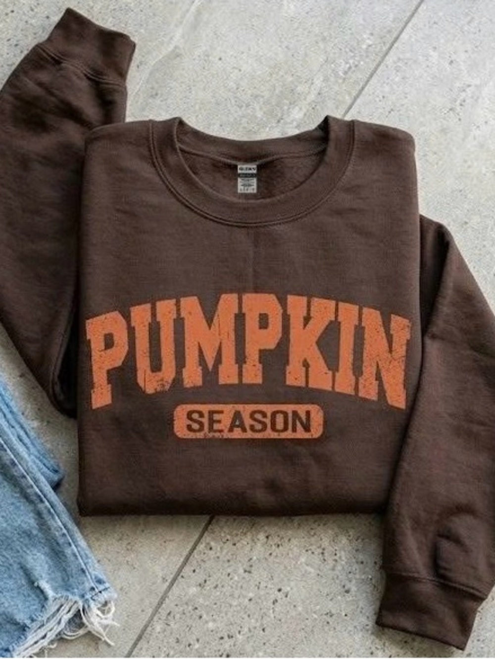 Pumpkin Season Brown Crewneck Sweatshirt Cozy Fall Aesthetic Pullover